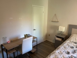 Private Room For Rent (Roommate for 4 1/2) — photo 3
