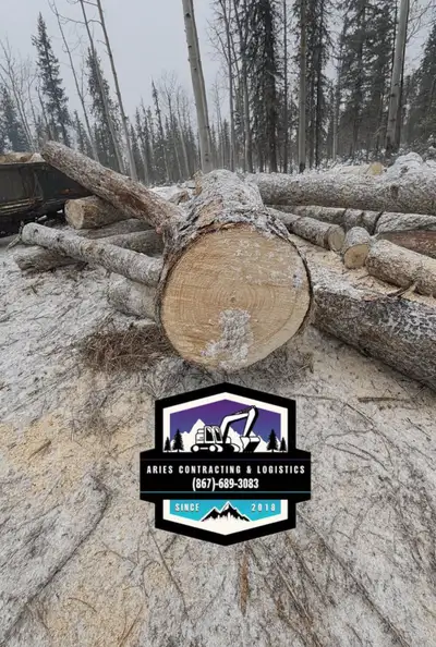  FUELWOOD FOR SALE – BUCKED & READY TO BURN . , View more