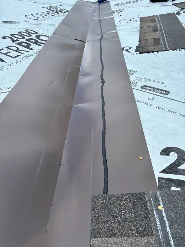 PROFESSIONAL ROOFING SERVICES / RLK PRO SERVICES LTD.521699848020961285