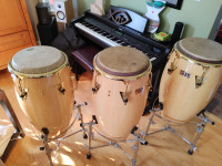 LP Conga, Quinto, and Tumbadora Classic Model Drums with Gold Tr