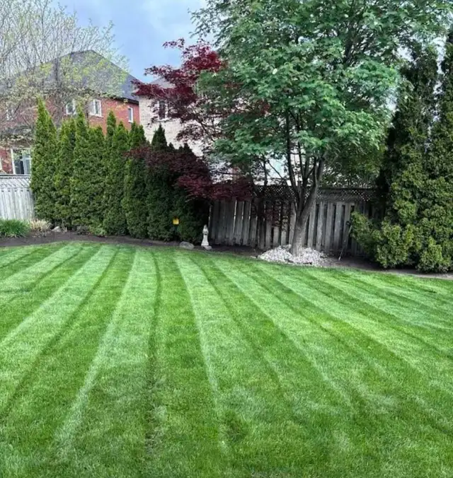 Toronto & GTA Landscaping | Lawn Care, Garden Services in Lawn, Tree Maintenance & Eavestrough in City of Toronto - Image 7