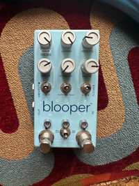 Chass Bliss Blooper Looper
