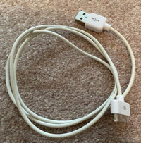 Apple 30 Pin to USB Cable