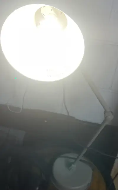 Desk Lamp, View more