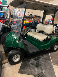 2019 Yamaha electric golf cart