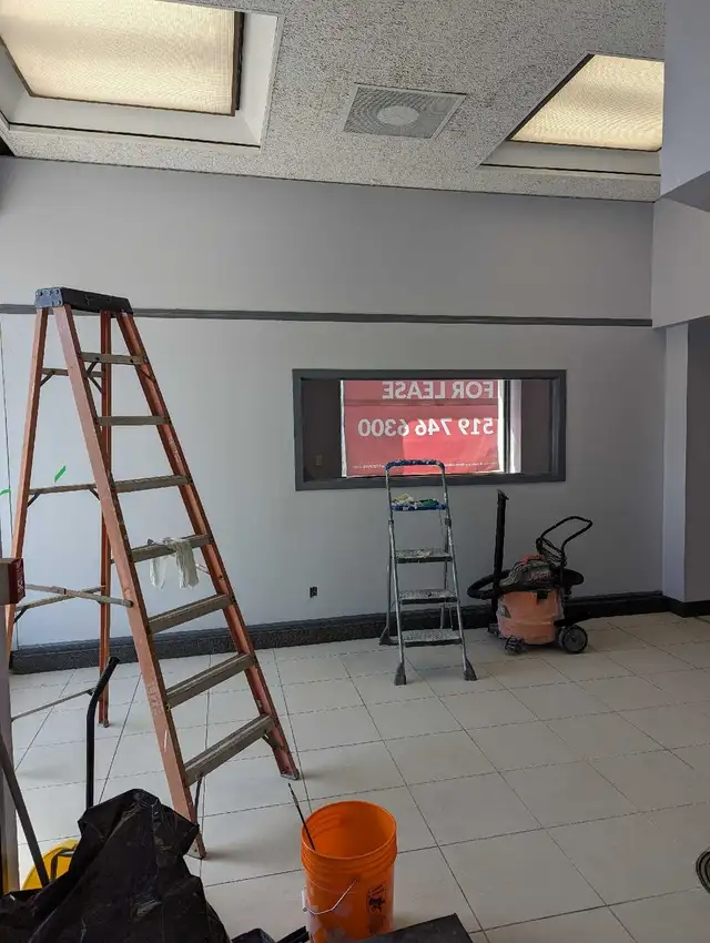 Professional Painting - Fair Pricing 539353960751441922