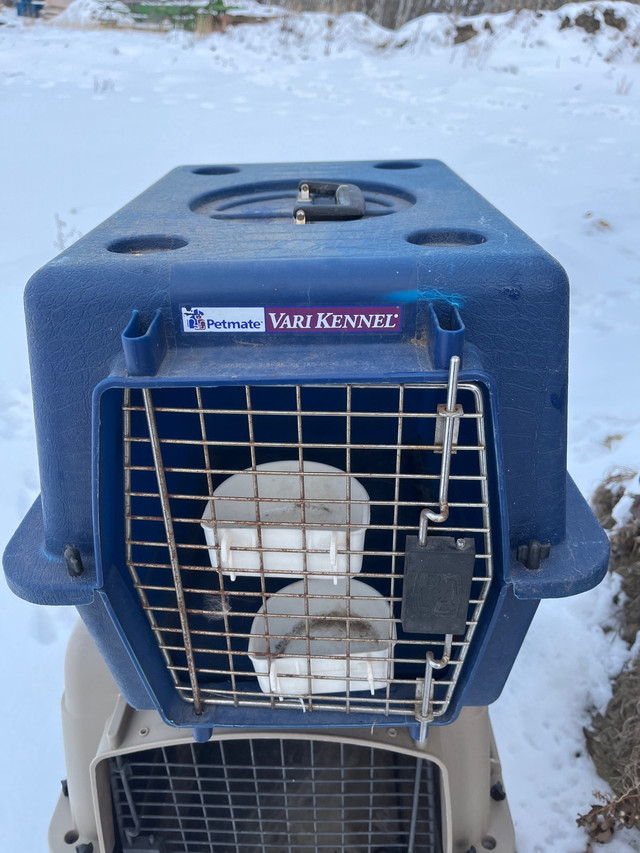 Dog Kennel for Sale  in Accessories in Prince Albert