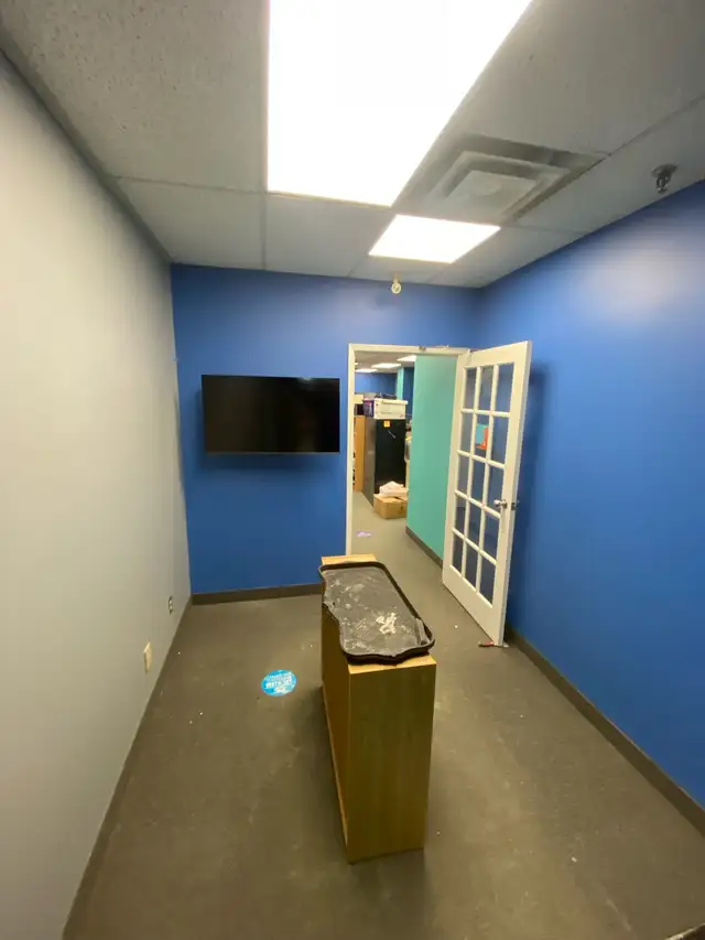AFFORDABLE, PROFESSIONAL PAINTER 523046312624803844