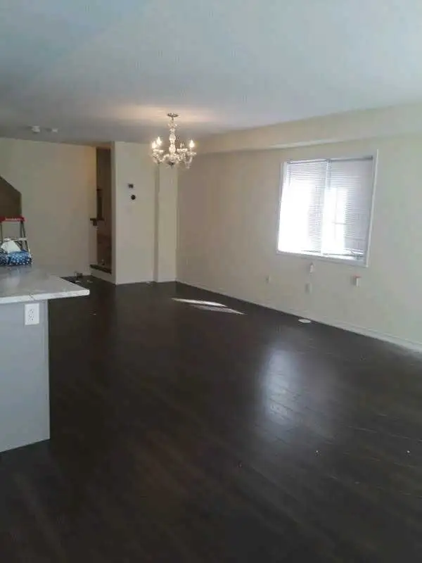 Painter Available 65561323552385121