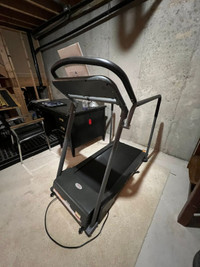 Walking Treadmill with Handrails (max speed 5mph)