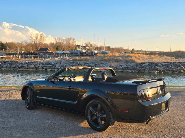 Mustang gt  in Cars & Trucks in Owen Sound - Image 3