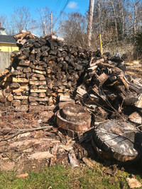 Camp Fire Wood