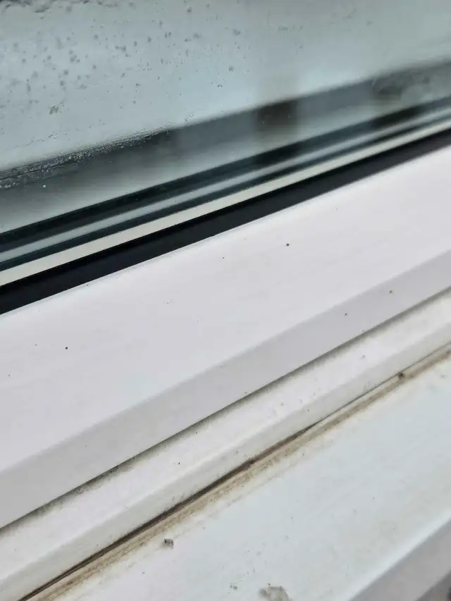 Window Vinyl Repair/ Glass & screen repair62864742134146121
