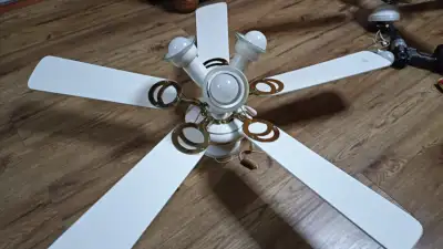 5-blade Ceiling Fan Light, View more