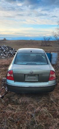 2004 Vw Passt