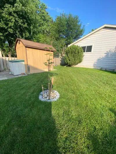 Lawn Maintenance / Fall Clean Ups, View more