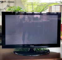 Samsung 42" Plasma HDTV (non-smart)