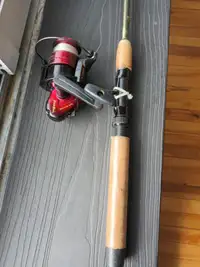 Canne a peche - Fishing rod