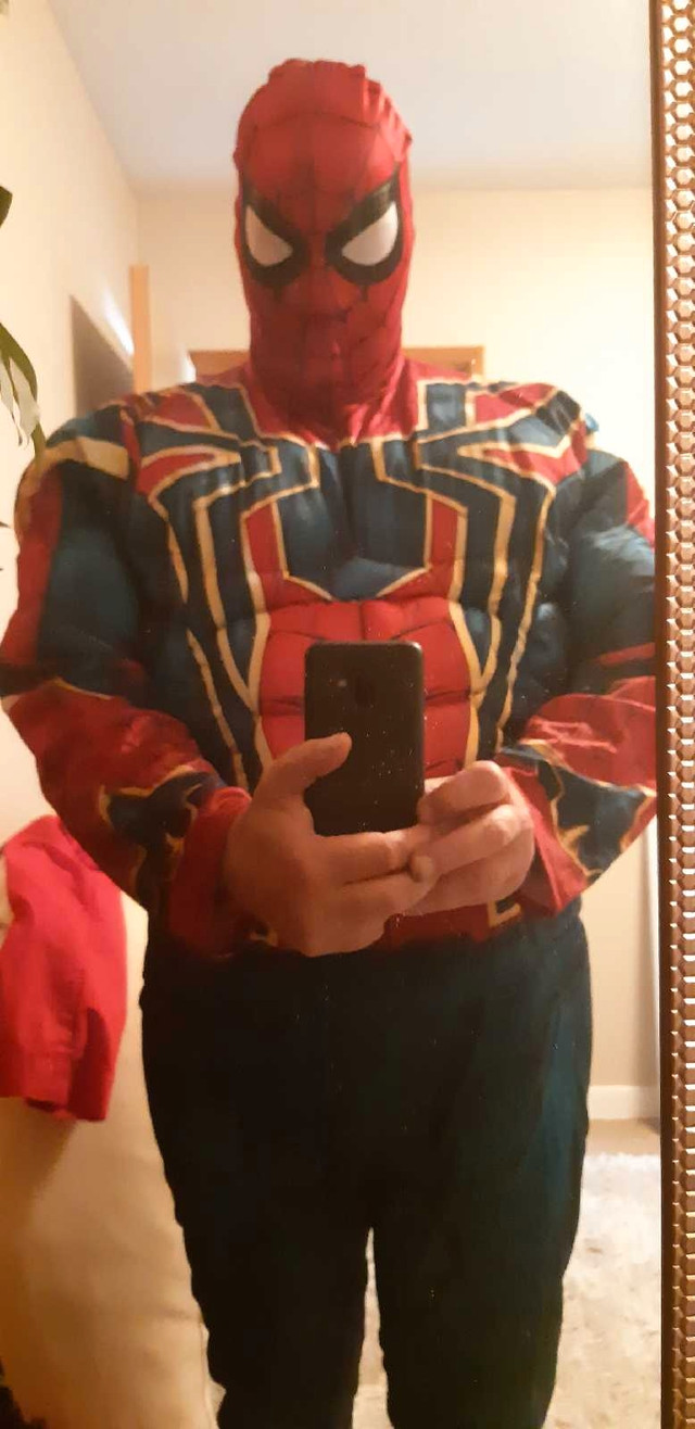 Iron Spider Costume in Costumes in Calgary