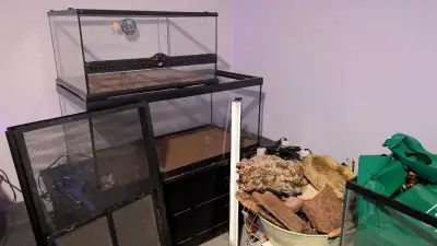 reptile tanks+supplies, View more