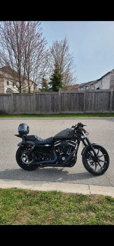 Iron 883 Vance & Hines pipes Sissy bar Barely used