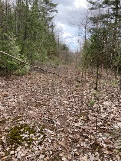 Please read full add and text me only Need help with collecting and splitting logs Loading trailer a...