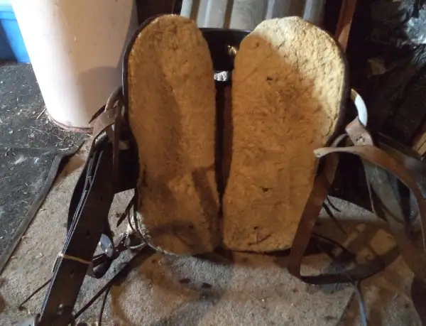 Vintage Black Studded Saddle in Equestrian & Livestock Accessories in Winnipeg - Image 4
