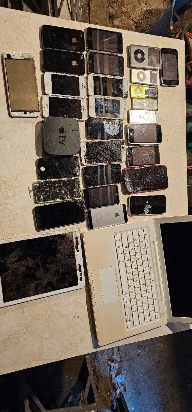 Apple products in Cell Phones in Sarnia