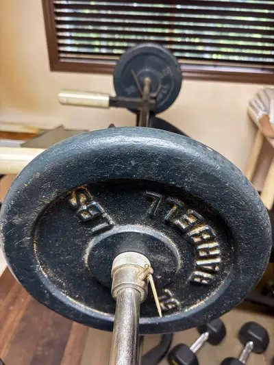 1$ la livre Poids et haltères de différents poids Aussi bench press 65$ Vélo stationnaire pro Schwin...