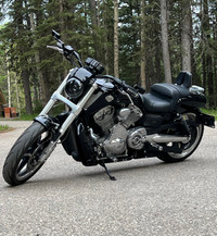 2014 Harley Davidson V-Rod Muscle VRSCF