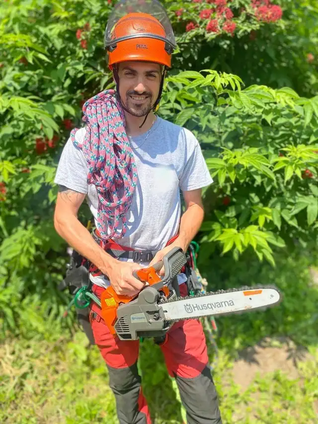 Tree Trimming and Tree Removal in Montreal