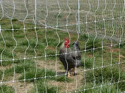 Gallagher Power Fencing Poultry Turbo Netting  48" x 165', View more