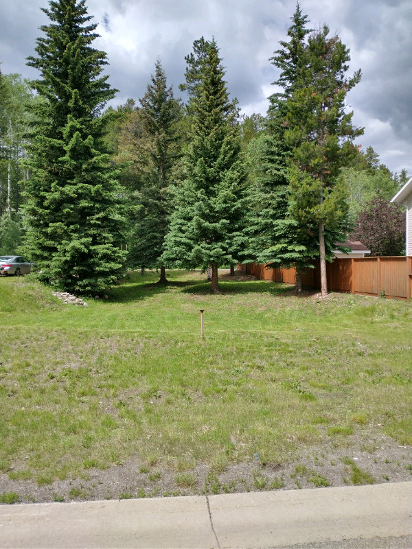 Large lot in Blairmore Alberta in Land for Sale in Lethbridge - Image 3