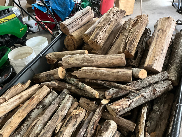 Dry mixed camp firewood reasonably priced includes3 bundles of k in Other in Bedford - Image 2