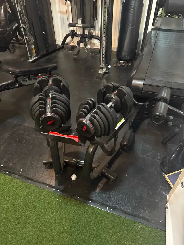 dumbbells 1090 Bowflex adjustable with stand436100330192916481