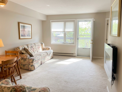 AVAILABLE AUGUST 1st- MAY 1st 2 bedroom 1 bathroom renovated/ fully furnished condo in the heart of...