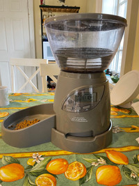 Petmate auto feeder for cats