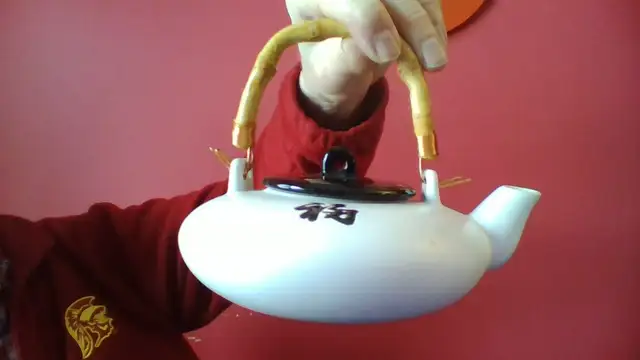 dimani Asian Styled TEAPOT