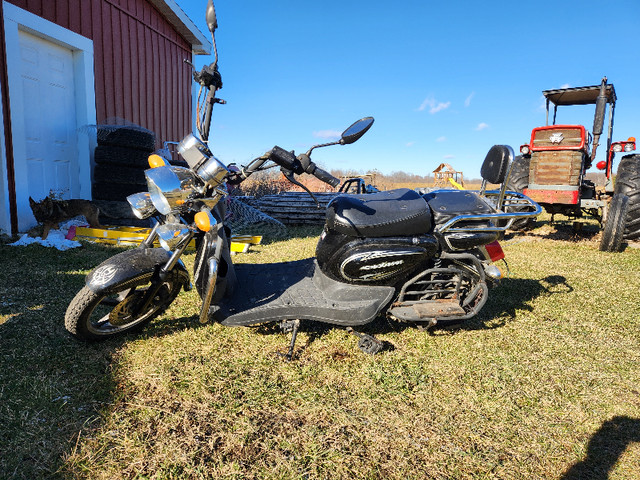 Electric Motorcycle / Scooter / Ebike in Other in Kingston - Image 2
