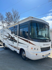 2011 Forest River Georgetown 300S
