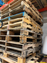 Stock Up Now: 48 x 40 Pallets Available for $5 in Scarborough!