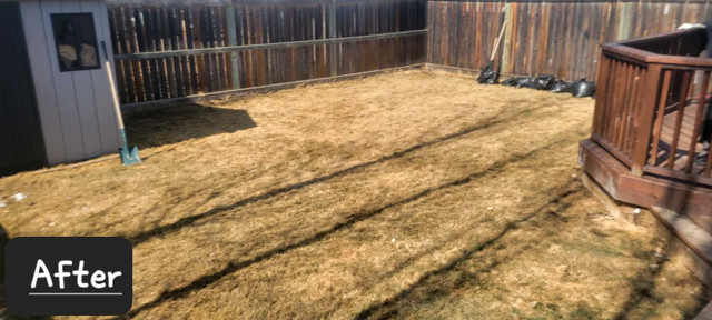 Dog waste removal & yard cleaning services available  in Animal & Pet Services in Edmonton - Image 2