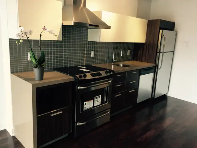 Downtown Luxury Condo for Rent for Oct. OR Nov. 1st63826903869441121
