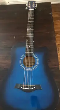 Rosefinch Acoustic Guitar 