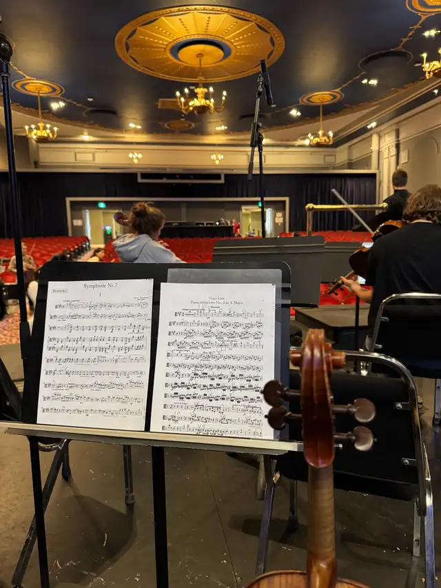 violin/viola/piano lessons422058297844705282
