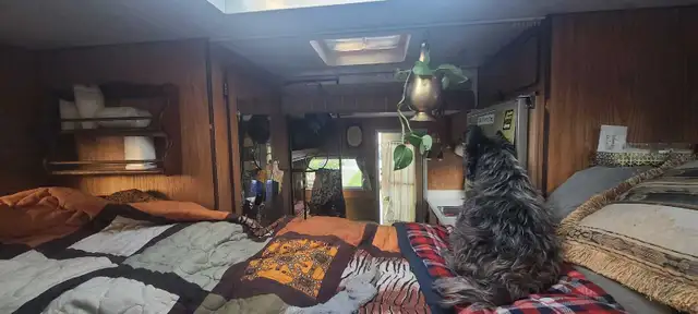 Truck Camper Slumber Queen 1977 in Travel Trailers & Campers in Saskatoon - Image 9