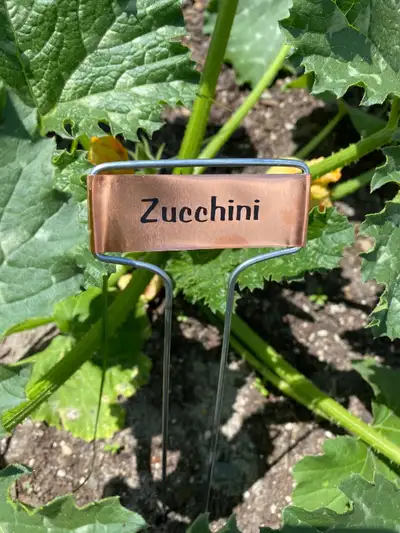 10 Vintage Copper Plant Markers, View more