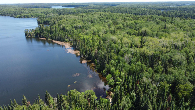 Parcel D.181 - Approx 1 mile of shoreline and 45 Acres of land! in Land for Sale in Kenora - Image 2