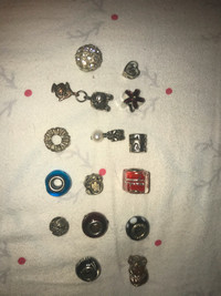 Charms for bracket or necklace