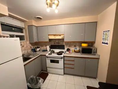 One fully furnished and private room in basement
